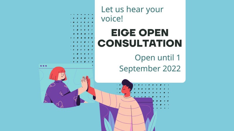PPMI conducts the open public consultation to support an Independent External Evaluation of EIGE