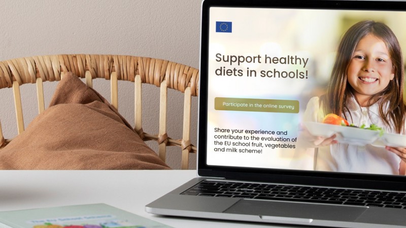 Share your opinion about the EU school fruit, vegetables and milk scheme!